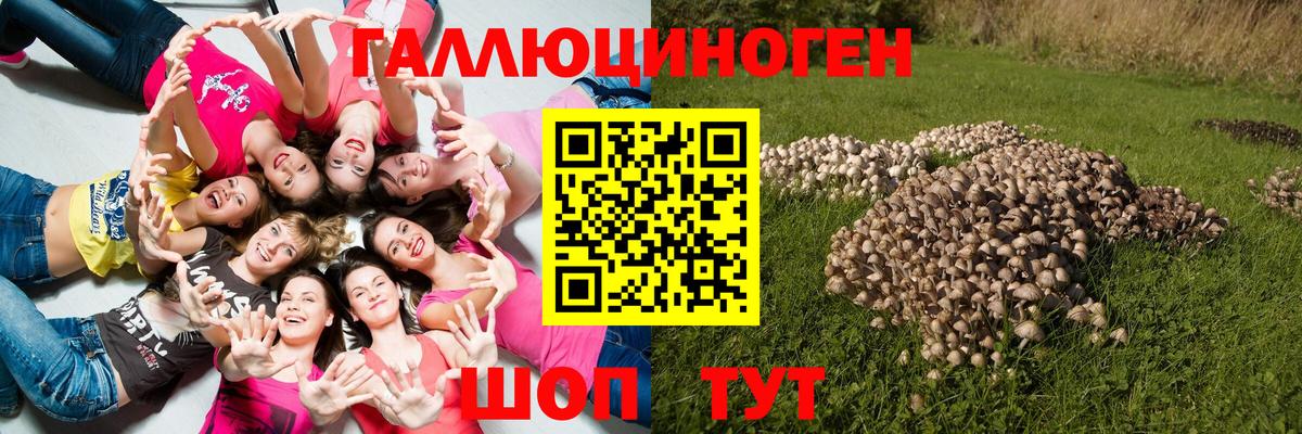 Псилоцибиновые грибы мицелий  Вход с VPN  Усинск 